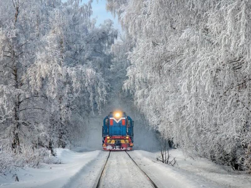 Стаття Дитяча залізниця працюватиме до кінця січня: розклад Ранкове місто. Київ
