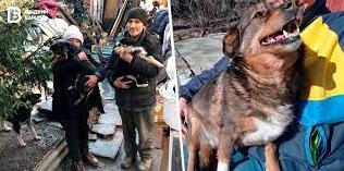 Стаття «Вивезла вісім безпритульних собак з Луганщини». Де шукати допомогу тим, хто рятує тварин Ранкове місто. Київ